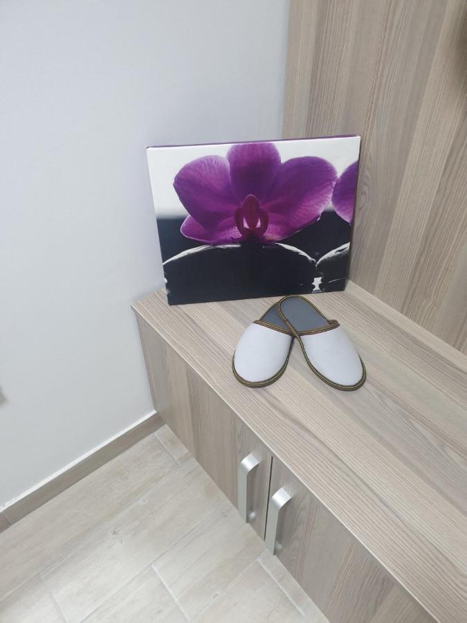 Apartman Lux S&V 1 Lukavica Istocno Sarajevo Hilandarska Centarアパートメント エクステリア 写真