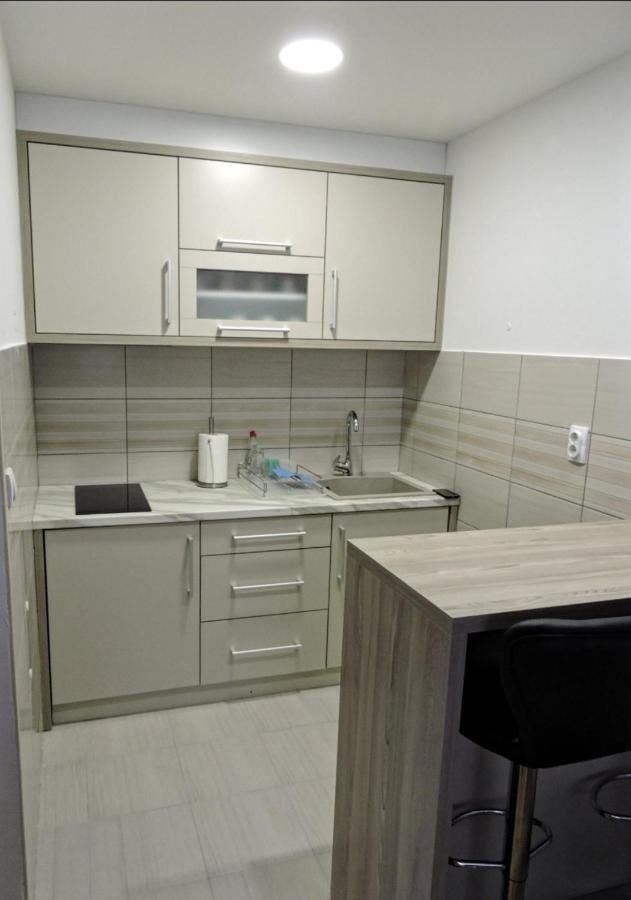 Apartman Lux S&V 1 Lukavica Istocno Sarajevo Hilandarska Centarアパートメント エクステリア 写真